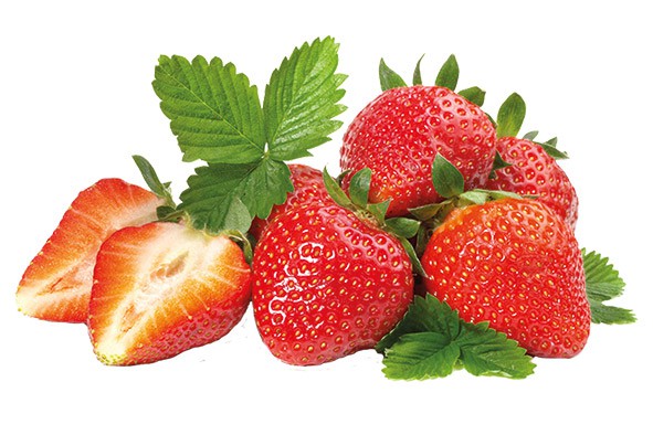 TK Erdbeeren (VE = 10 kg)